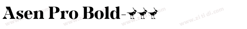 Asen Pro Bold字体转换